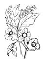 Image Not Available